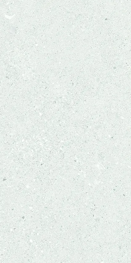 D-M36006-F01